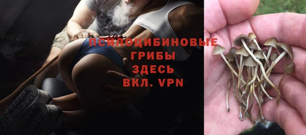 амфетамин Богданович