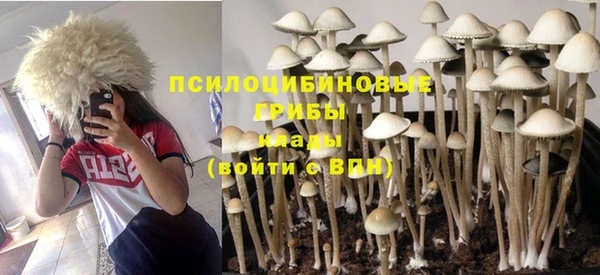 2c-b Богородицк