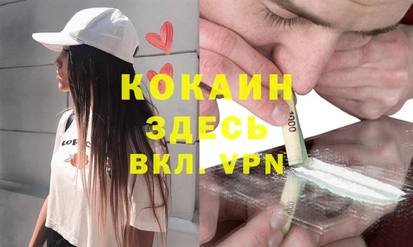 сатива Богородск