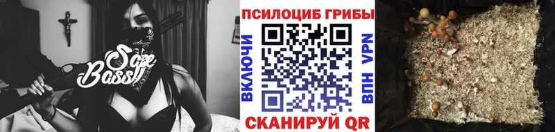 Галлюциногенные грибы мухоморы  Дальнегорск 